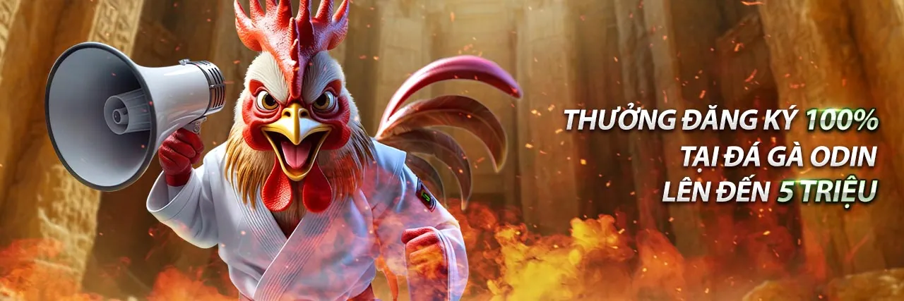 Khuyến mãi mới nhất 798bet