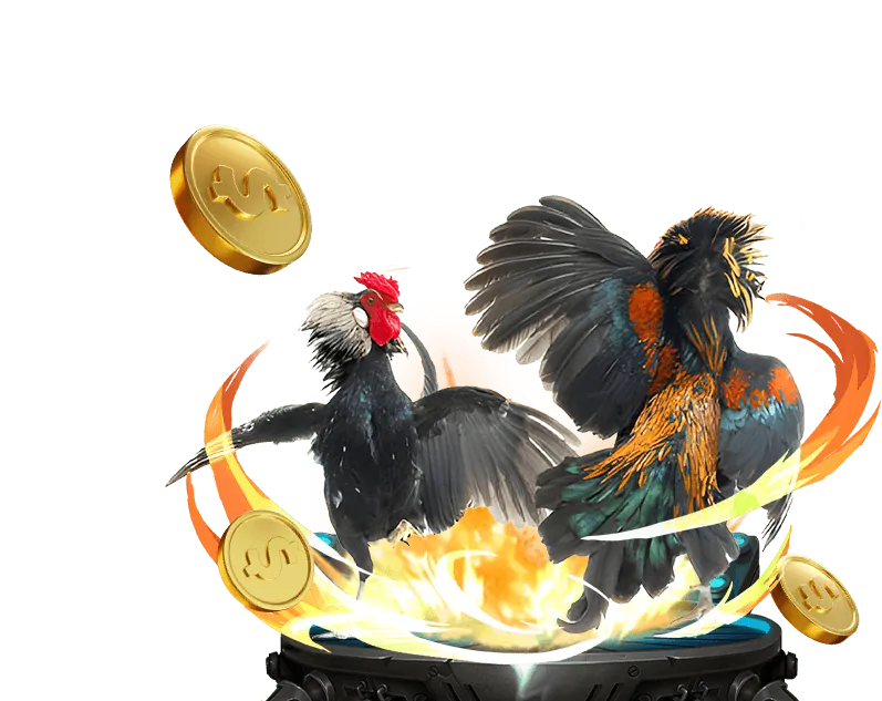 Định vị thương hiệu 798bet